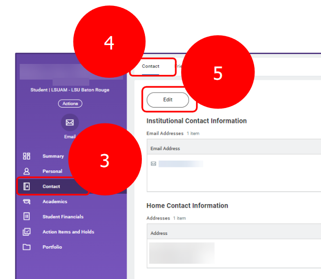 Contact information section in Workday