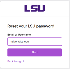 entering your lsu username at lsu dot edu